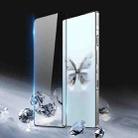 For ZTE nubia RedMagic 10 Pro / Pro+ 10pcs DUX DUCIS 0.33mm 9H Medium Alumina Tempered Glass Film - 2