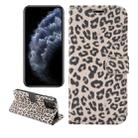 For iPhone 12 Pro Max Leopard Print Pattern Horizontal Flip Leather Case with Card Slot and Holder(Gray) - 1