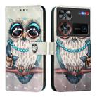 For ZTE Nubia Z60 Ultra 3D Painting Horizontal Flip Leather Phone Case(Grey Owl) - 1