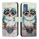 For Nokia C02 3D Painting Horizontal Flip Leather Phone Case(Grey Owl) - 2