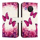For Nokia X20 / X10 3D Painting Horizontal Flip Leather Phone Case(Rose Butterfly) - 2