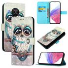 For Nokia X20 / X10 3D Painting Horizontal Flip Leather Phone Case(Grey Owl) - 1