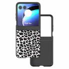 For Motorola Razr 50 Black Edge Leopard Phone Case(Silver Leopard) - 1