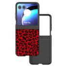 For Motorola Razr 50 Black Edge Leopard Phone Case(Red Leopard) - 1