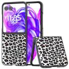 For Motorola Razr 50 Ultra Black Edge Leopard Phone Case(Silver Leopard) - 1