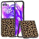 For Motorola Razr 50 Ultra Black Edge Leopard Phone Case(Gold Leopard) - 1