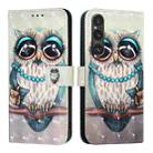 For Sony Xperia 1 V 3D Painting Horizontal Flip Leather Phone Case(Grey Owl) - 2