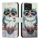For Asus Zenfone 11 Ultra 3D Painting Horizontal Flip Leather Phone Case(Grey Owl) - 2