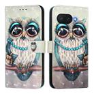 For Google Pixel 9a 3D Painting Horizontal Flip Leather Phone Case(Grey Owl) - 2