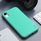 For iPhone XR iPAKY Starry Series Shockproof Straw Material + TPU Protective Case(Fruit Green) - 1