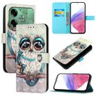 For Tecno Pova 6 4G 3D Painting Horizontal Flip Leather Phone Case(Grey Owl) - 1