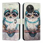 For Infinix Note 12 2023 / Note 12 Pro 4G 3D Painting Horizontal Flip Leather Phone Case(Grey Owl) - 2