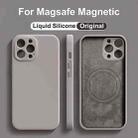 For iPhone 15 Pro Max Liquid Silicone MagSafe Phone Case(Black) - 2