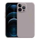 For iPhone 12 Pro Max Liquid Silicone MagSafe Phone Case(Khaki) - 1