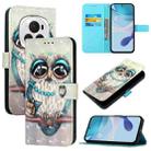 For Honor Magic6 Pro Global 3D Painting Horizontal Flip Leather Phone Case(Grey Owl) - 1