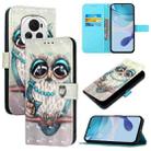 For Honor Magic6 Global 3D Painting Horizontal Flip Leather Phone Case(Grey Owl) - 1