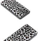 For vivo S19 Pro Black Frame Leopard Phone Case(Silver Leopard) - 2