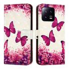 For Xiaomi 13 3D Painting Horizontal Flip Leather Phone Case(Rose Butterfly) - 2