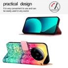 For Xiaomi 13 Ultra 3D Painting Horizontal Flip Leather Phone Case(Chasing Dreams) - 3