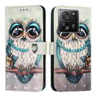 For Xiaomi 13T Global / 13T Pro Global 3D Painting Horizontal Flip Leather Phone Case(Grey Owl) - 2