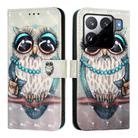 For Xiaomi 15S Pro 3D Painting Horizontal Flip Leather Phone Case(Grey Owl) - 2