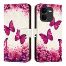 For vivo iQOO Z9x 3D Painting Horizontal Flip Leather Phone Case(Rose Butterfly) - 2