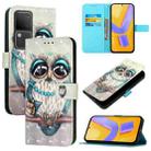 For vivo V30 5G Global / V30 Pro 5G Global 3D Painting Horizontal Flip Leather Phone Case(Grey Owl) - 1