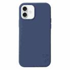 For iPhone 16 Liquid Silicone Phone Case(Blue) - 1