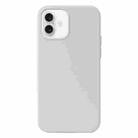 For iPhone 16 Plus Liquid Silicone Phone Case(White) - 1