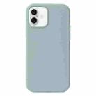 For iPhone 16 Plus Liquid Silicone Phone Case(Emerald Green) - 1