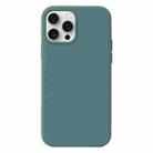 For iPhone 16 Pro Liquid Silicone Phone Case(Pine Needle Green) - 1