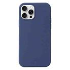 For iPhone 16 Pro Liquid Silicone Phone Case(Blue) - 1