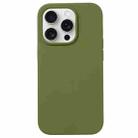 For iPhone 16 Pro Liquid Silicone Phone Case(Pine Green) - 1