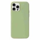 For iPhone 16 Pro Max Liquid Silicone Phone Case(Matcha Green) - 1