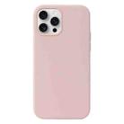 For iPhone 16 Pro Max Liquid Silicone Phone Case(Sand Pink) - 1