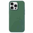 For iPhone 16 Pro Max Liquid Silicone Phone Case(Clover Green) - 1