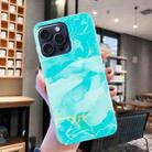 For iPhone 16 Pro Max IMD Marble TPU Phone Case(Green) - 2