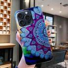 For iPhone 16 Pro Max Colored Drawing Pattern TPU Phone Case(Half-flower) - 2