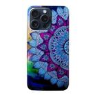 For iPhone 16 Pro Max Colored Drawing Pattern TPU Phone Case(Half-flower) - 3