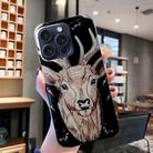For iPhone 16 Pro Max Colored Drawing Pattern TPU Phone Case(Deer) - 2