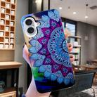 For iPhone 16 Plus Colored Drawing Pattern TPU Phone Case(Half-flower) - 2