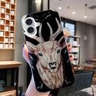 For iPhone 16 Plus Colored Drawing Pattern TPU Phone Case(Deer) - 2