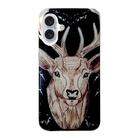 For iPhone 16 Plus Colored Drawing Pattern TPU Phone Case(Deer) - 3