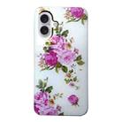 For iPhone 16 Colored Drawing Pattern TPU Phone Case(Rose Flower) - 3