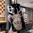 For iPhone 16 Colored Drawing Pattern TPU Phone Case(Deer) - 2