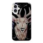 For iPhone 16 Colored Drawing Pattern TPU Phone Case(Deer) - 3