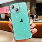 For iPhone 15 Glitter Powder TPU Phone Case(Transparent Green) - 1