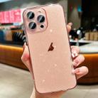 For iPhone 12 Pro Glitter Powder TPU Phone Case(Transparent Pink) - 1