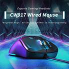 ONIKUMA CW917 RGB 3600DPI Wired Mouse(Black) - 2