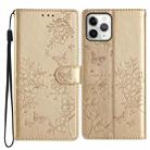 For iPhone 11 Pro Butterflies and Flowers Leather Phone Case(Gold) - 1